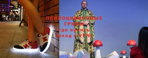 сатива Новый Уренгой