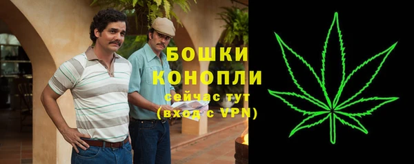 дмт Удомля