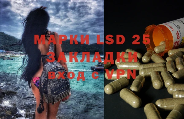 индика Ужур
