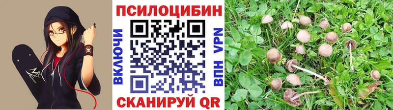 МЕГА онион  где продают наркотики  Арамиль  Галлюциногенные грибы прущие грибы 